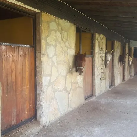 Hotel Oranj Ranch Kemer
